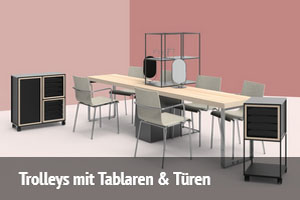 Trolleys-mit-Tablaren-T-ren_EN